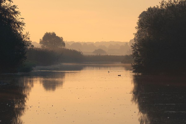 Serene ochtend