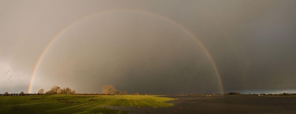 Regenboog