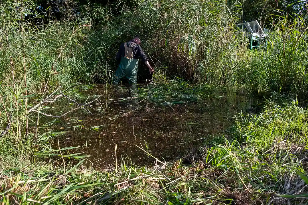 Met een waadpak in de paddenpoel