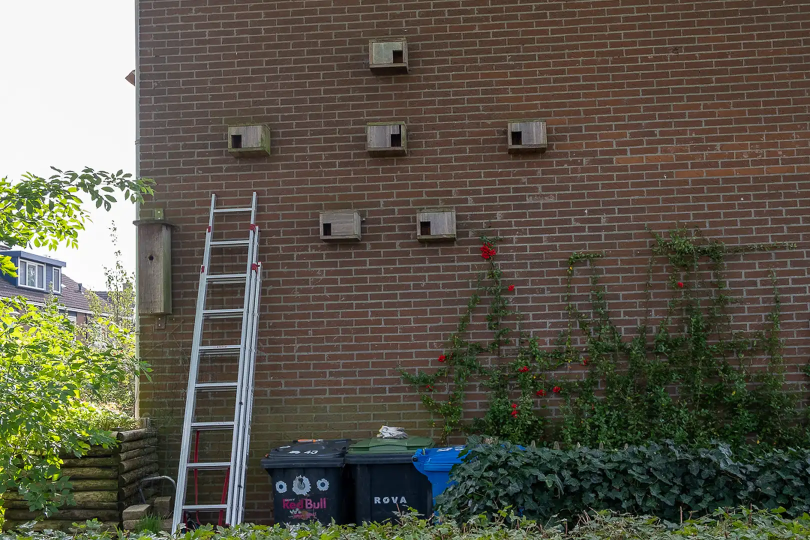 Onze mussengevel