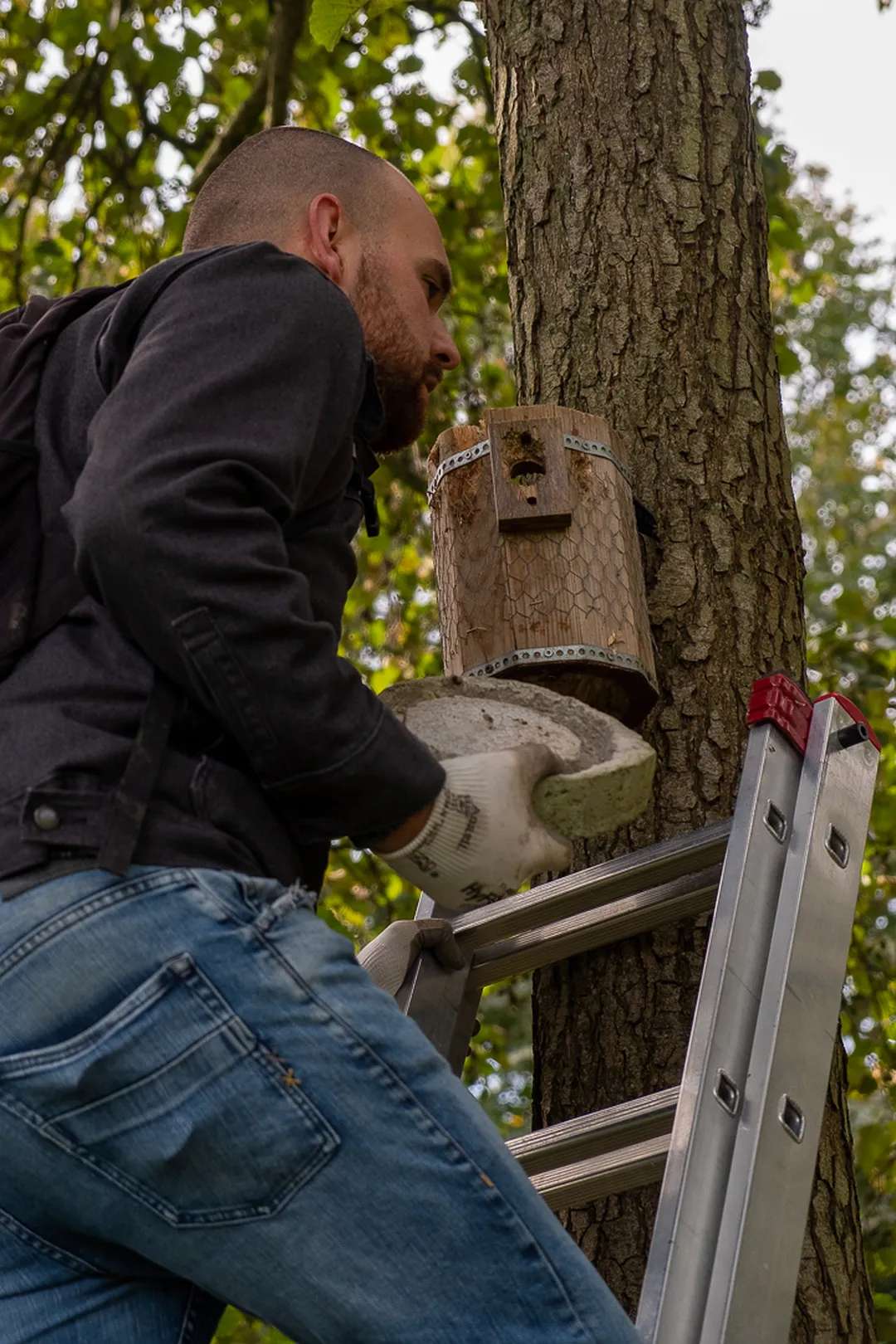 Tweede nestkast, bij het hondenveldje