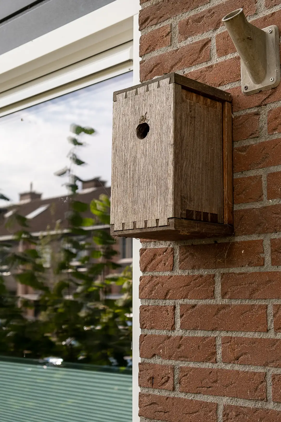 De betreffende nestkast