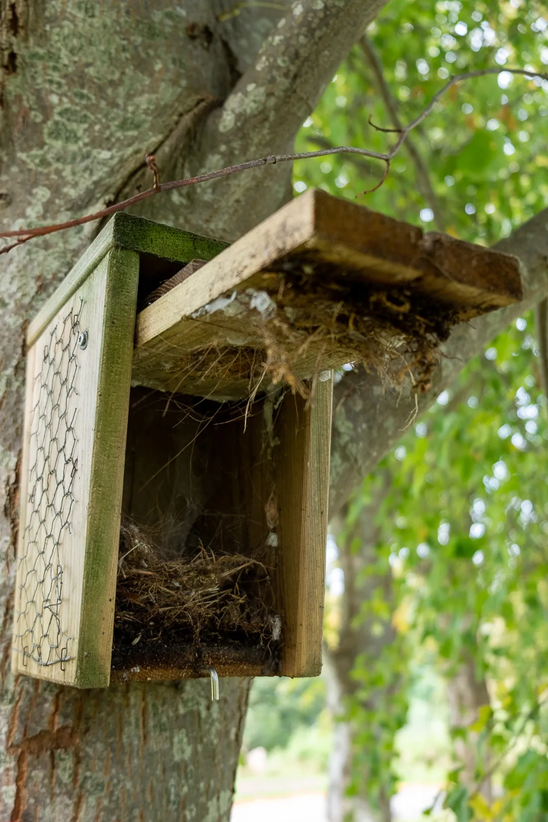 Dit vogelnest ziet er behoorlijk vies uit