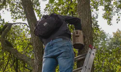 Featured image of post Nestkasten schoonmaken