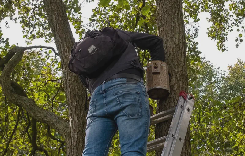 Featured image of post Nestkasten schoonmaken