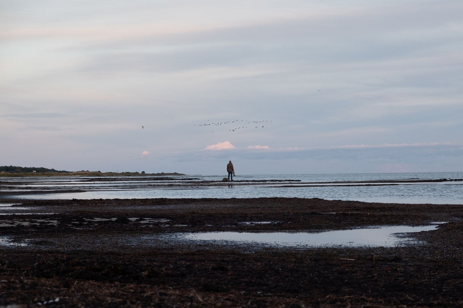 Featured image of post Welkom op mijn blog!